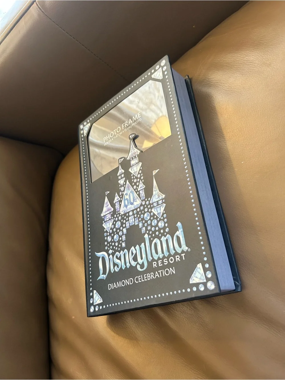 Disneyland Resort original exclusive